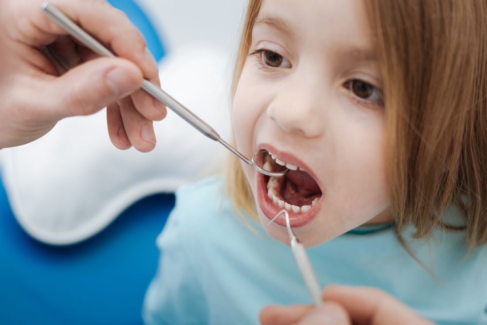 How to Choose the Best Family Dentist in Raleigh, NC